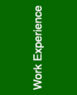 Work Experience - Student Guidance